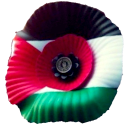 :palestinepoppy: